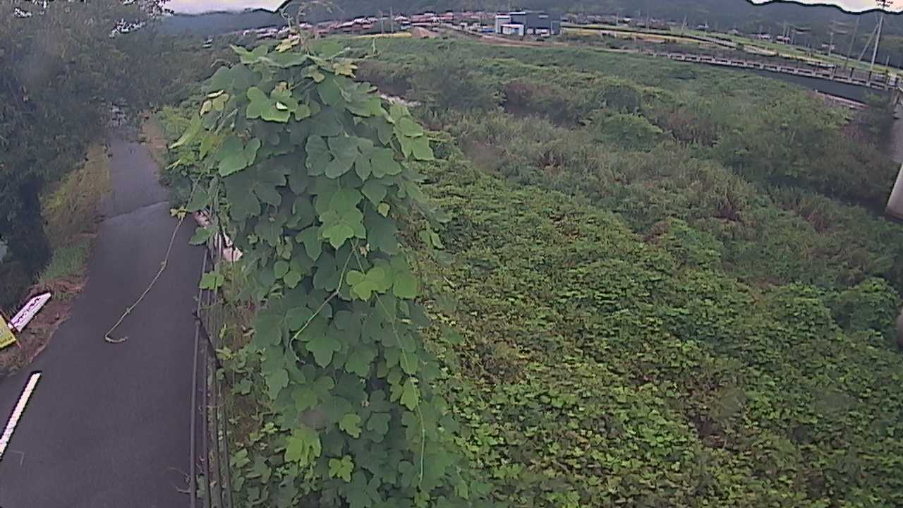 阿賀　法勝寺川 8k120 右岸
