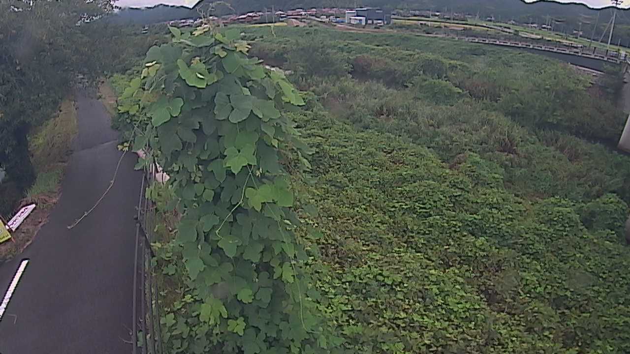 阿賀　法勝寺川 8k120 右岸