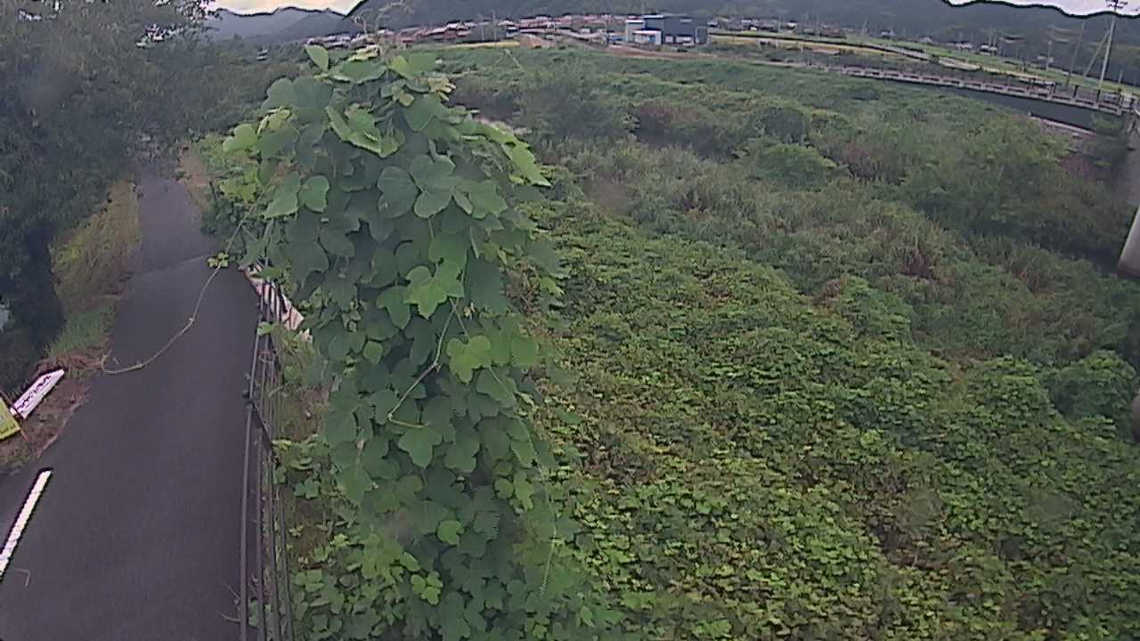阿賀　法勝寺川 8k120 右岸