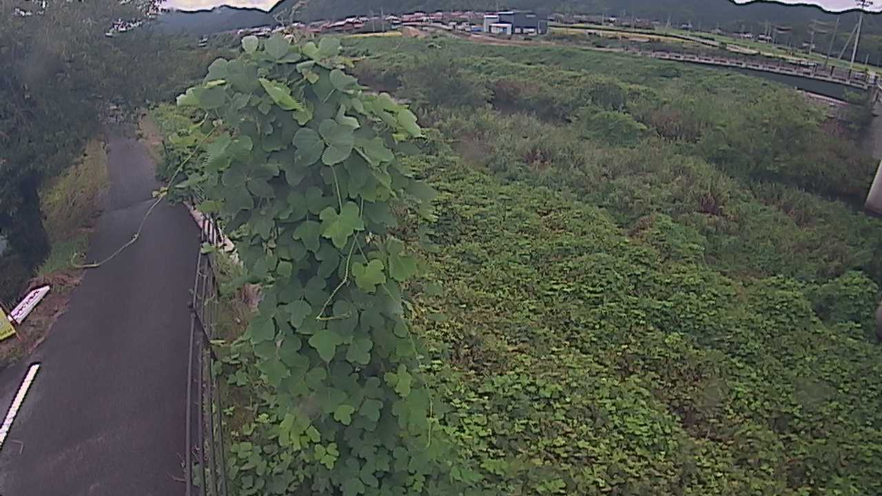 阿賀　法勝寺川 8k120 右岸