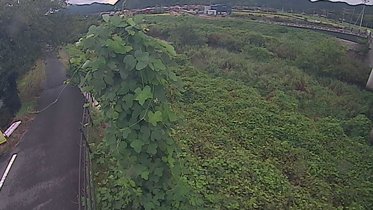 阿賀　法勝寺川 8k120 右岸
