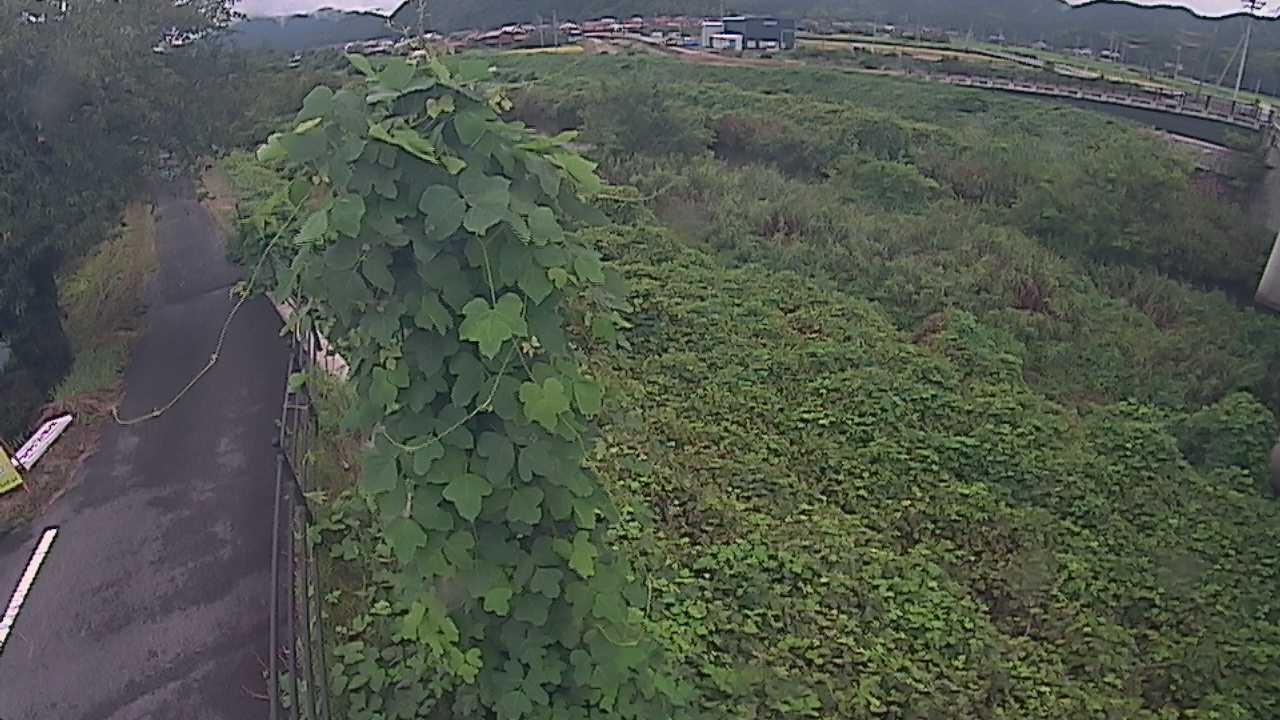 阿賀　法勝寺川 8k120 右岸