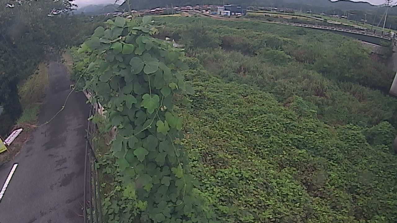 阿賀　法勝寺川 8k120 右岸