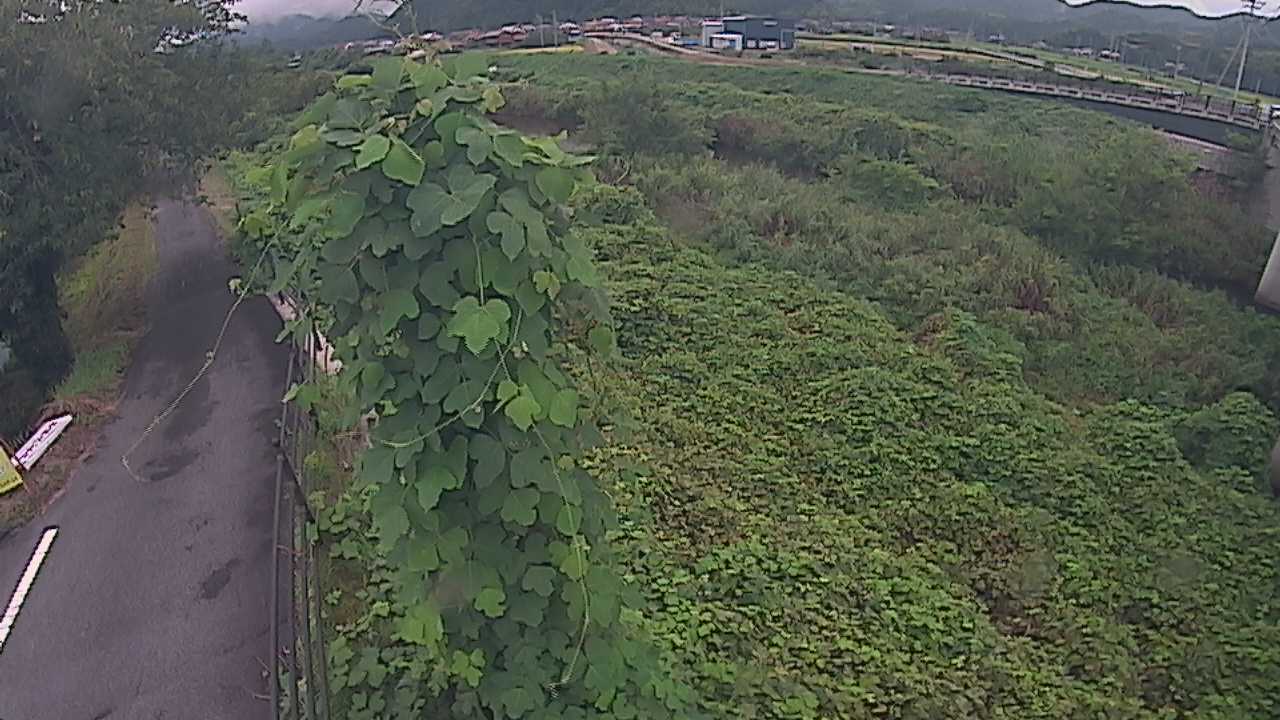 阿賀　法勝寺川 8k120 右岸