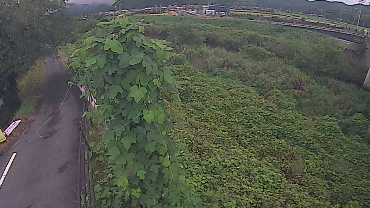 阿賀　法勝寺川 8k120 右岸