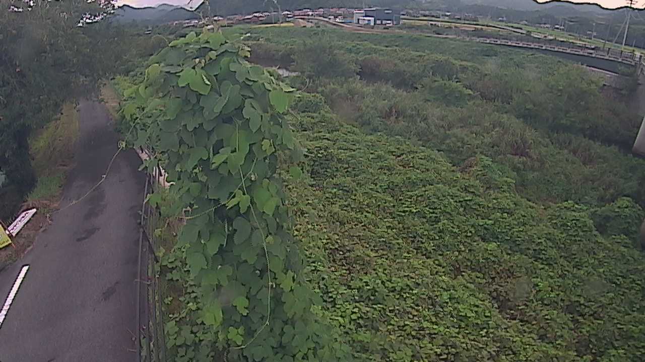 阿賀　法勝寺川 8k120 右岸