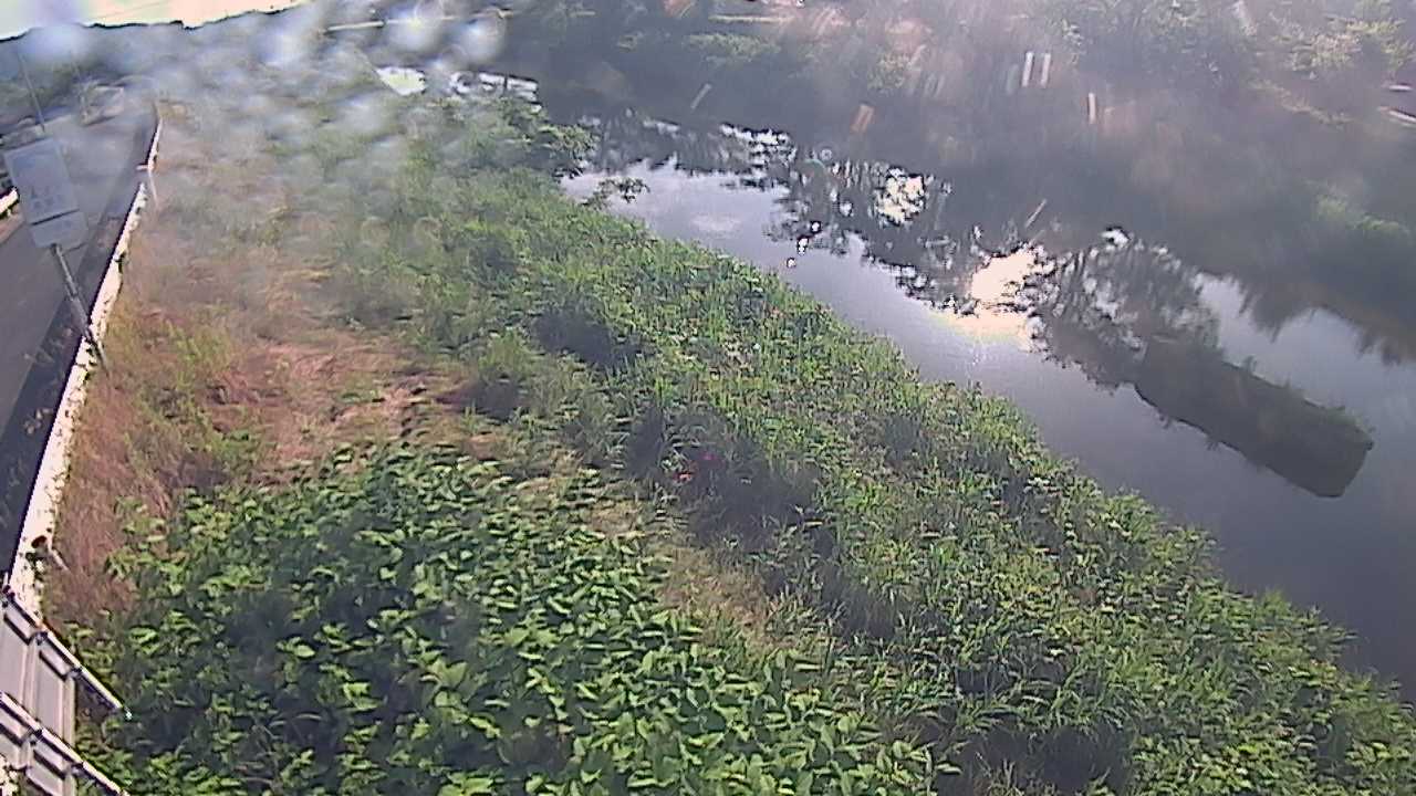 清水　法勝寺川 9k906 左岸