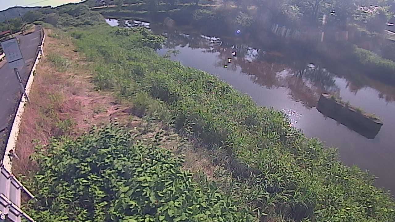 清水　法勝寺川 9k906 左岸