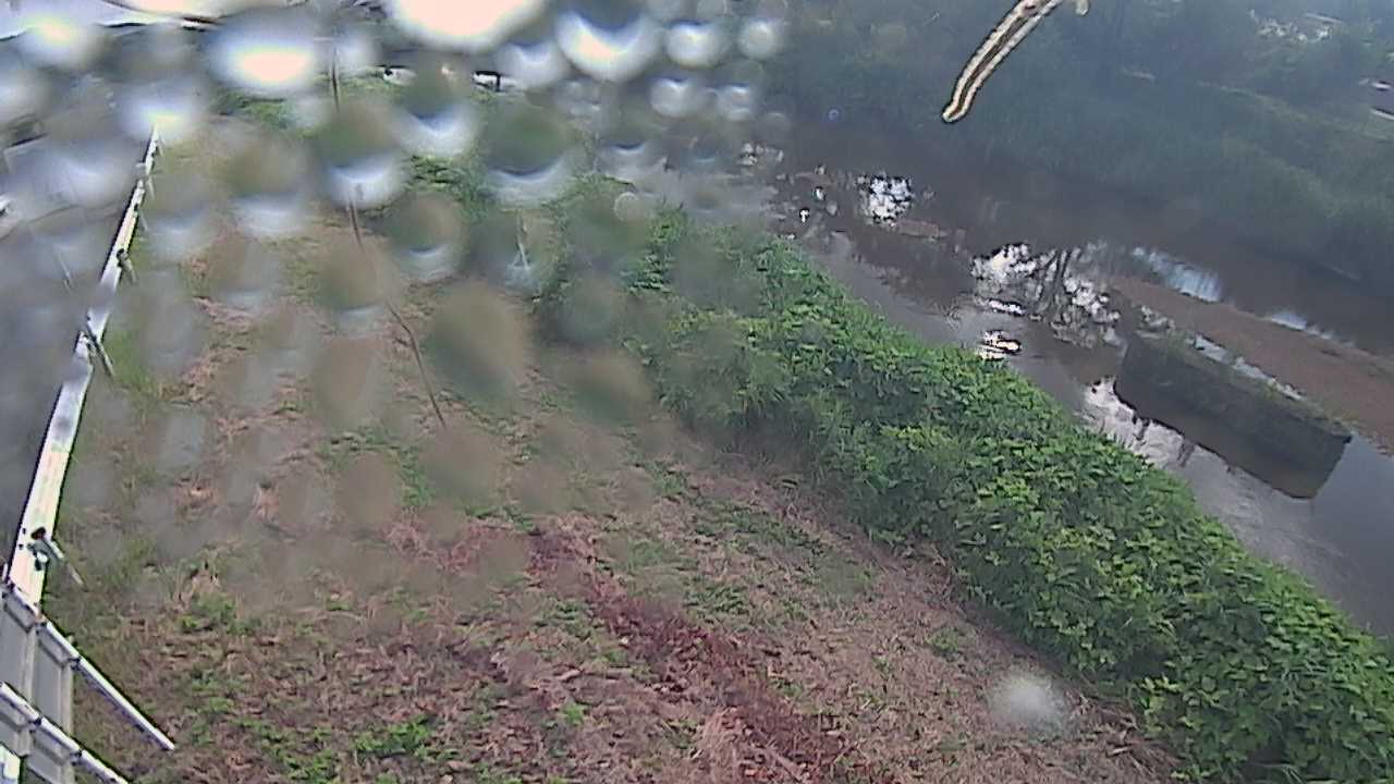 清水　法勝寺川 9k906 左岸