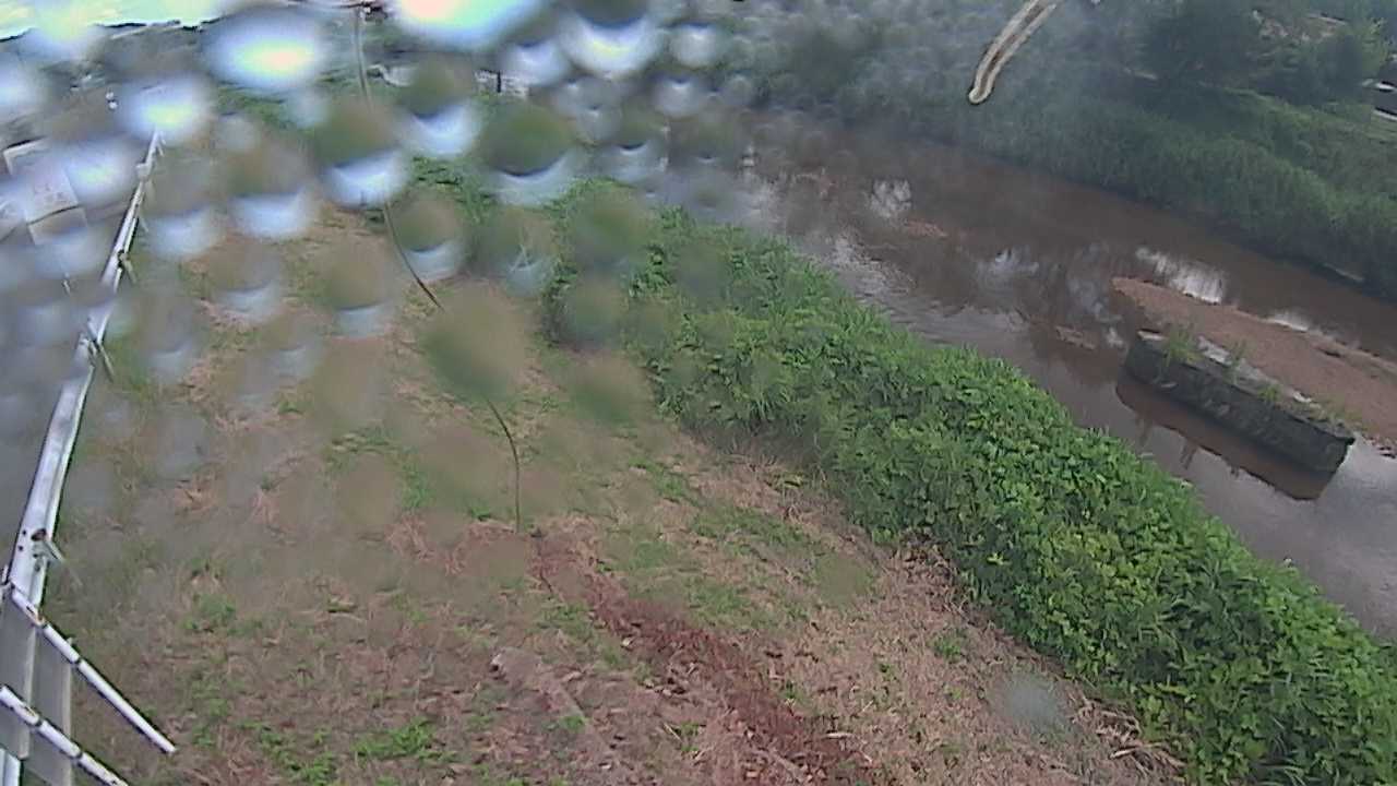 清水　法勝寺川 9k906 左岸