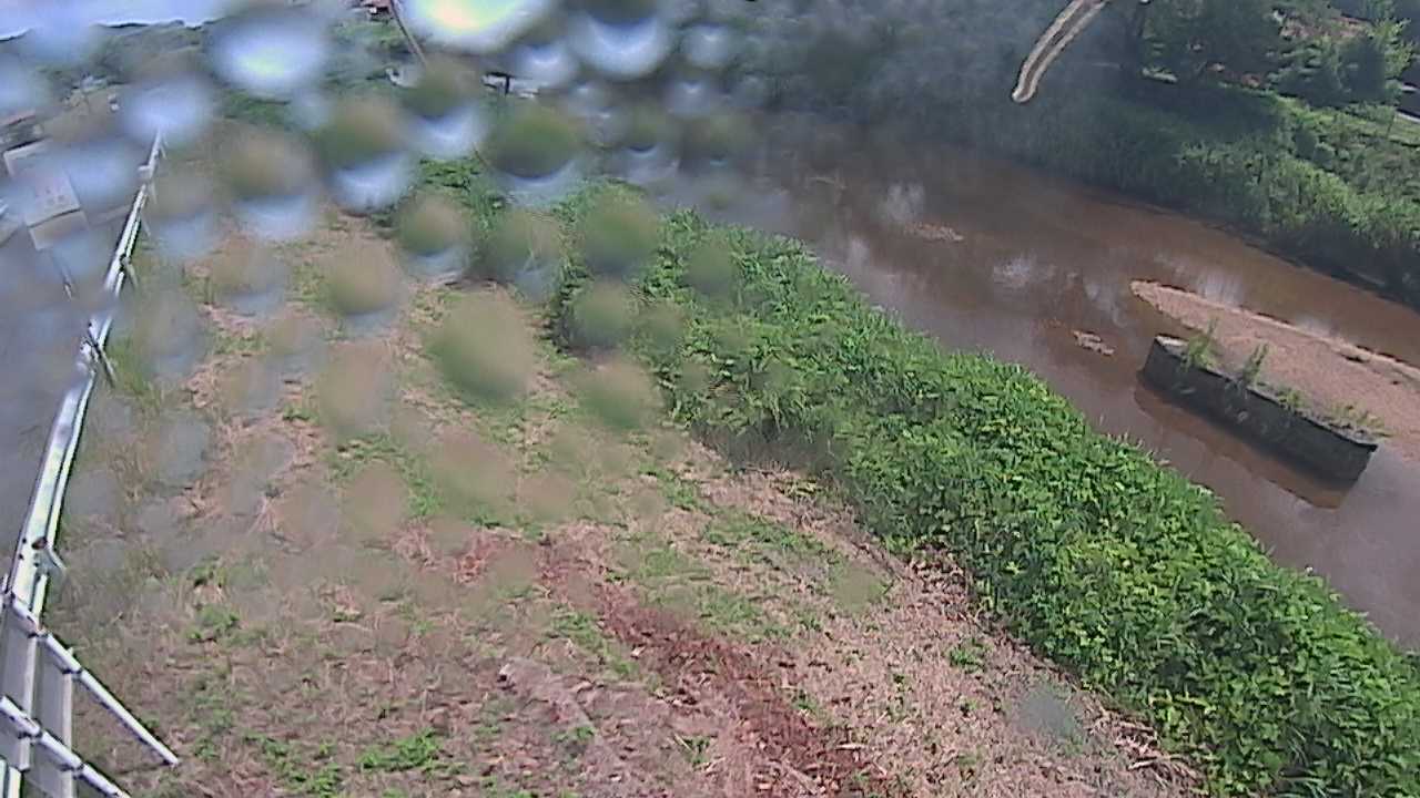 清水　法勝寺川 9k906 左岸
