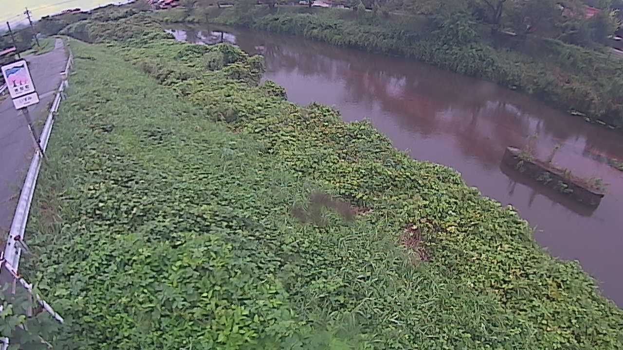 清水　法勝寺川 9k906 左岸