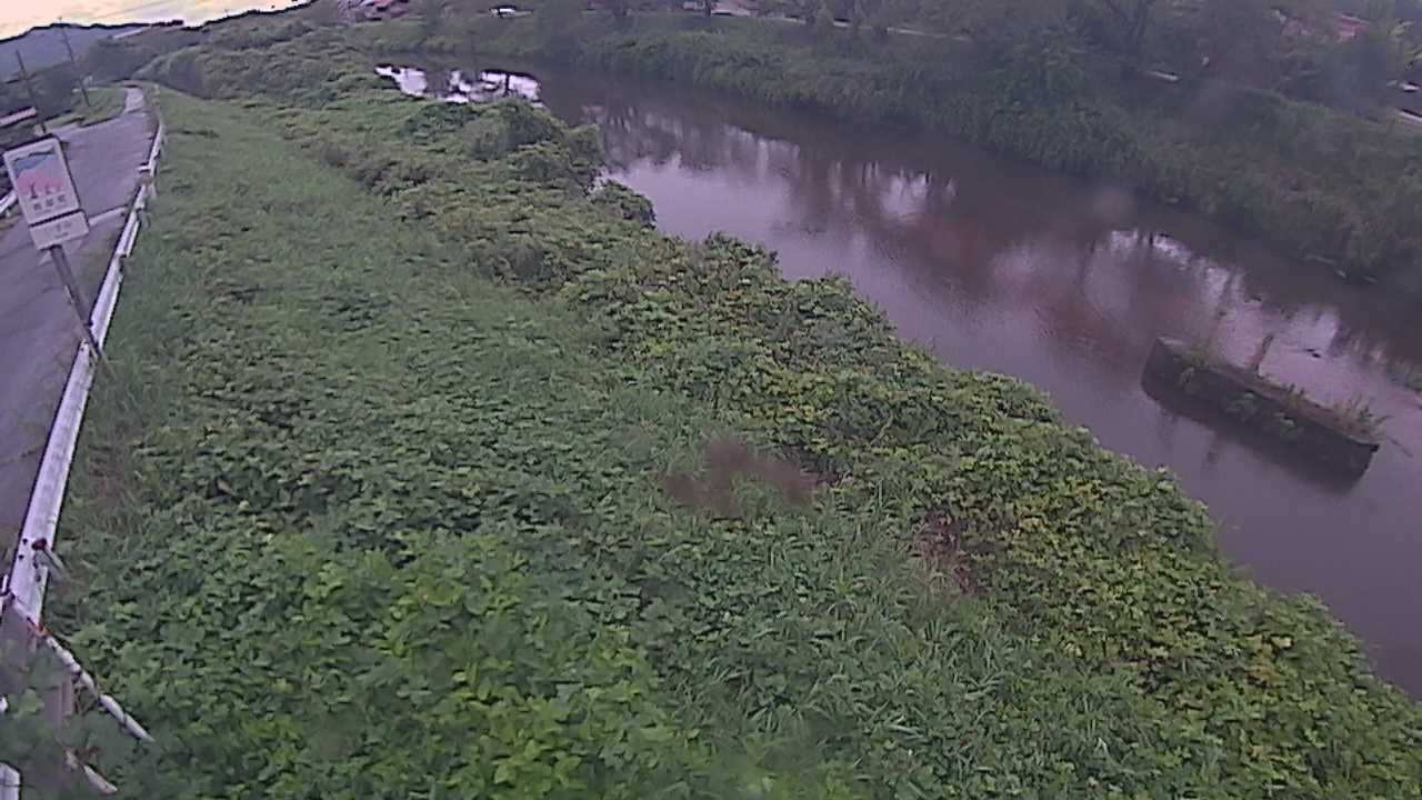 清水　法勝寺川 9k906 左岸