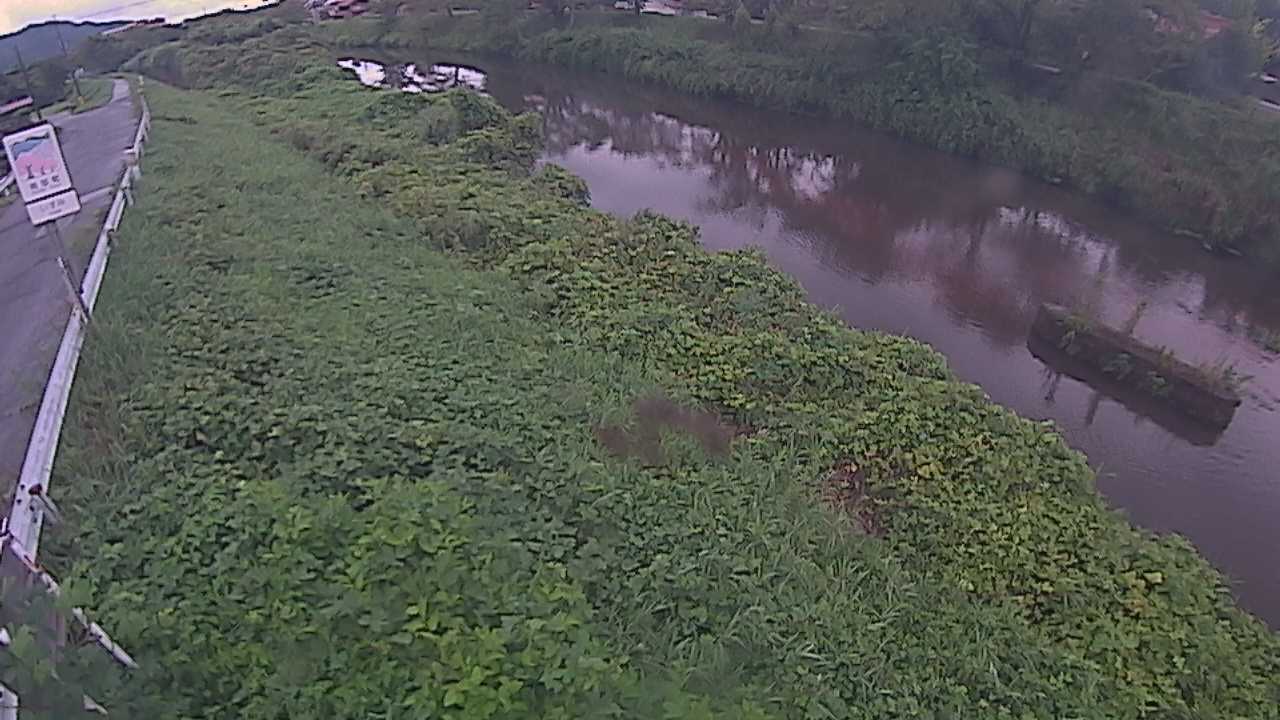 清水　法勝寺川 9k906 左岸