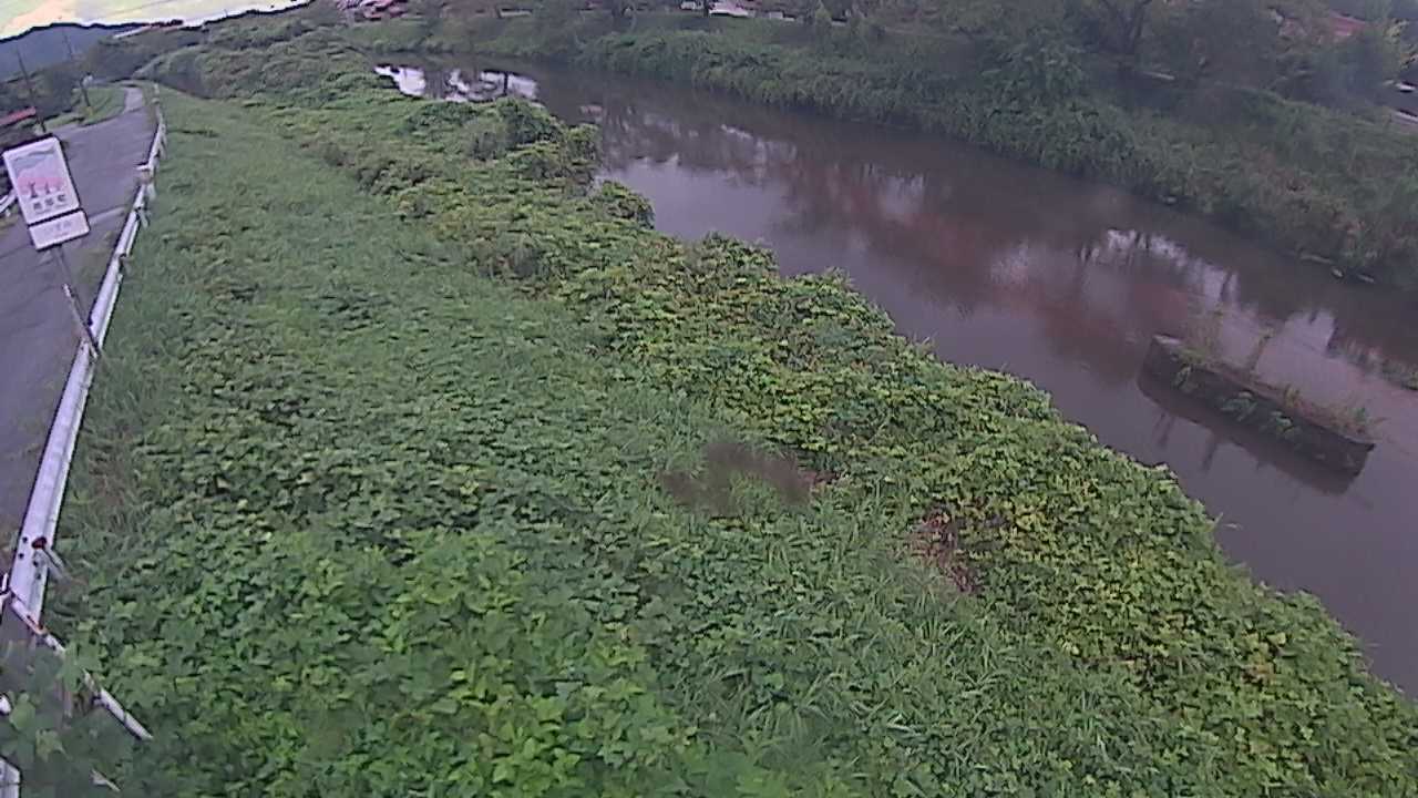 清水　法勝寺川 9k906 左岸