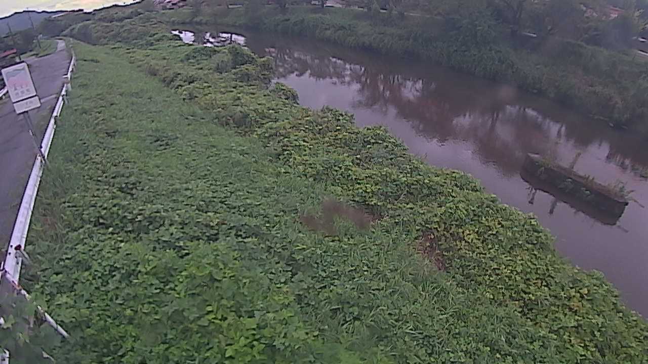 清水　法勝寺川 9k906 左岸
