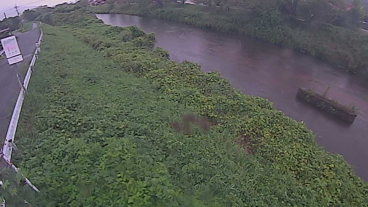 清水　法勝寺川 9k906 左岸