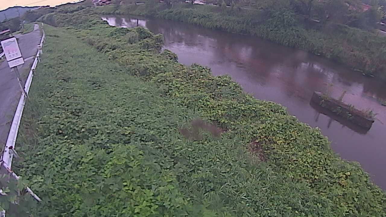 清水　法勝寺川 9k906 左岸