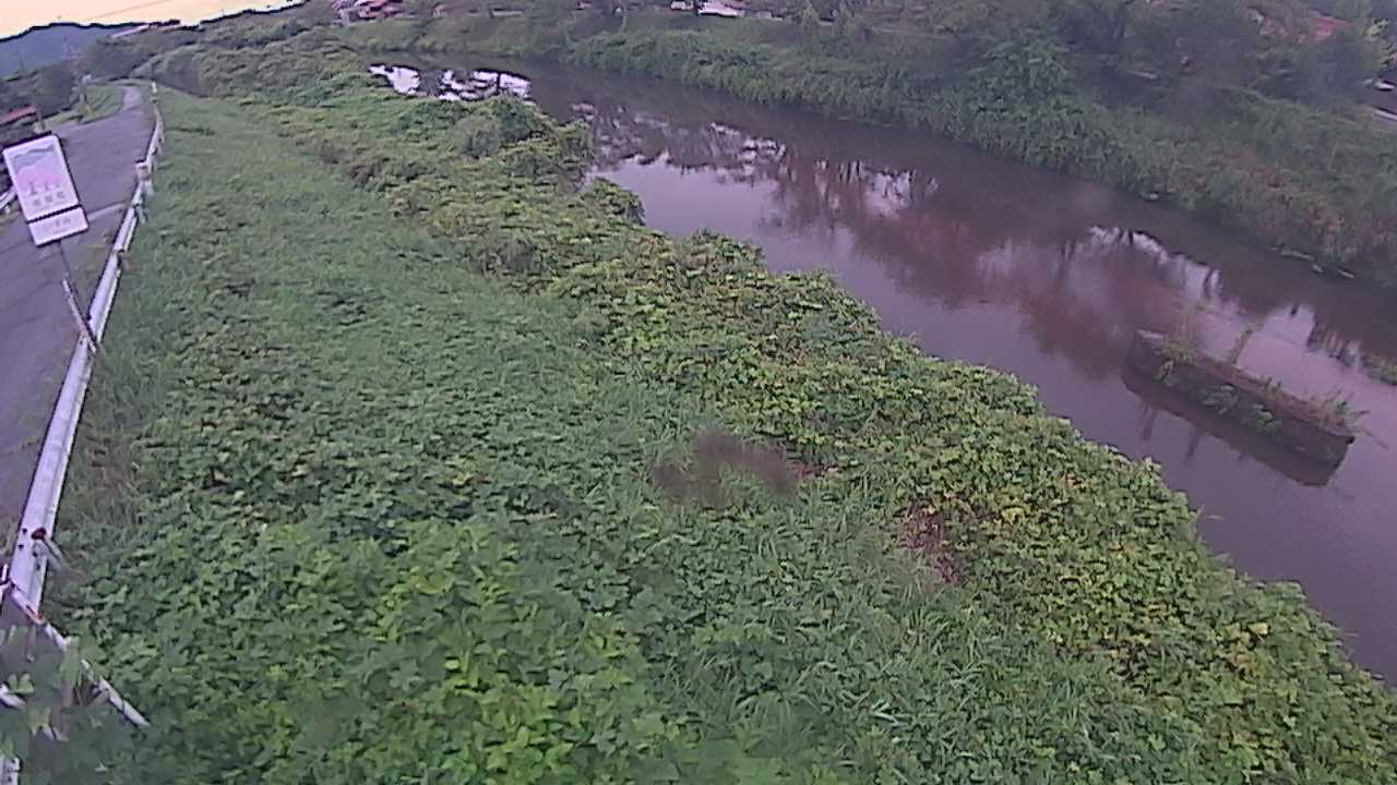 清水　法勝寺川 9k906 左岸