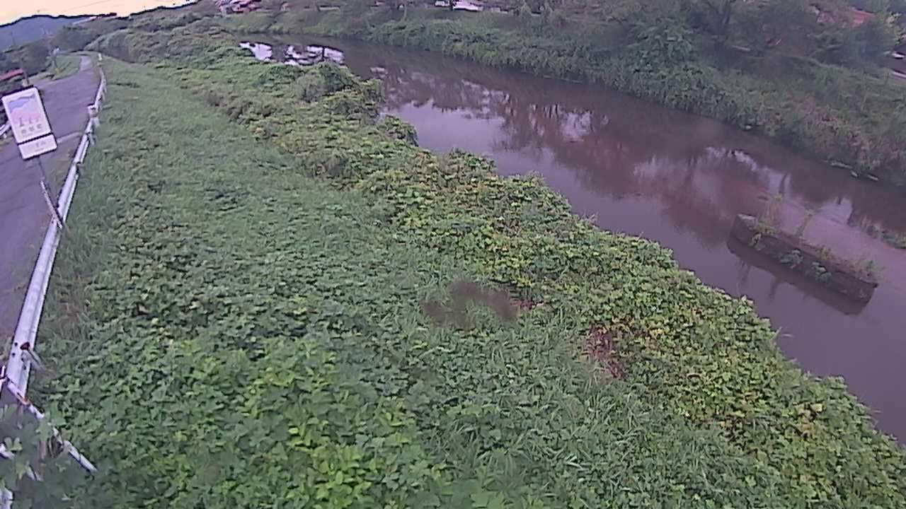 清水　法勝寺川 9k906 左岸