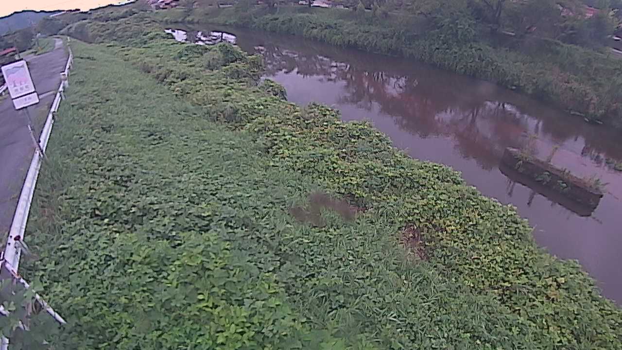 清水　法勝寺川 9k906 左岸