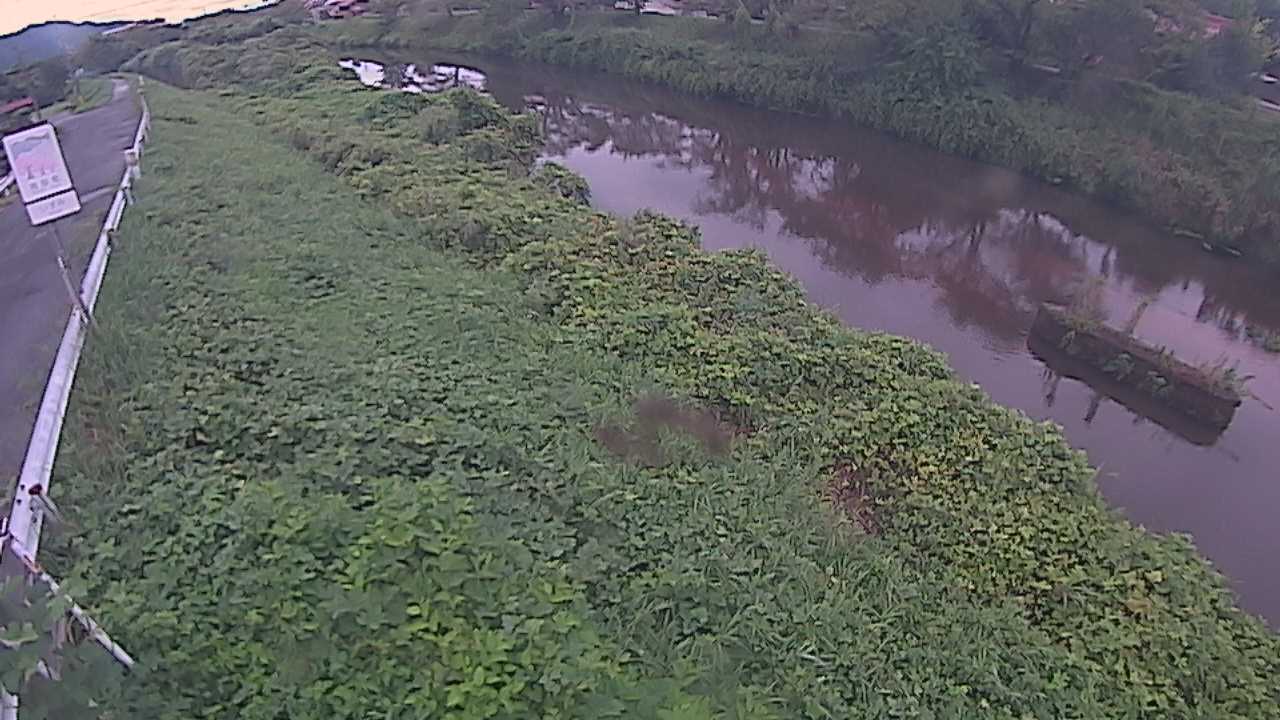 清水　法勝寺川 9k906 左岸