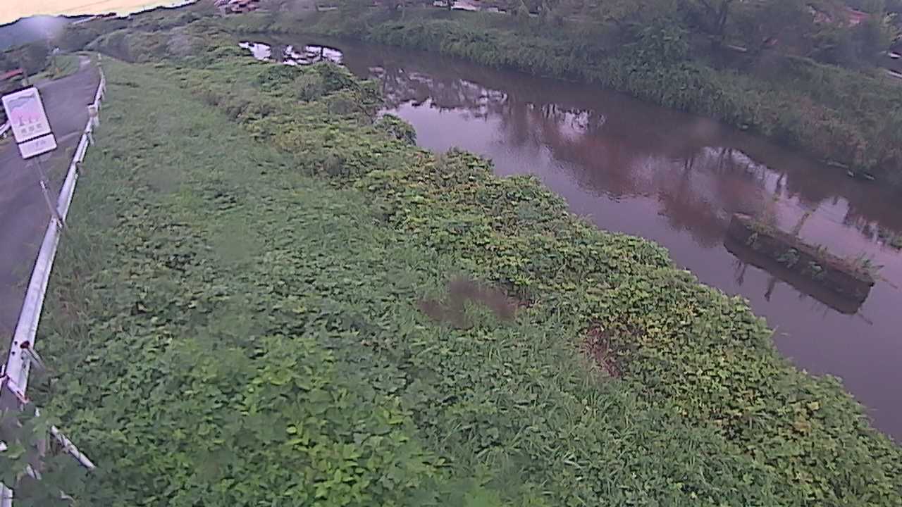 清水　法勝寺川 9k906 左岸