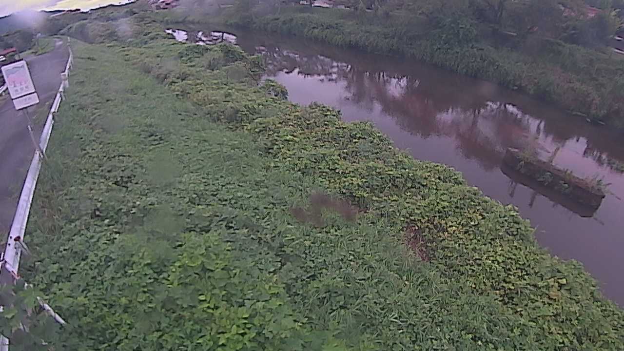 清水　法勝寺川 9k906 左岸
