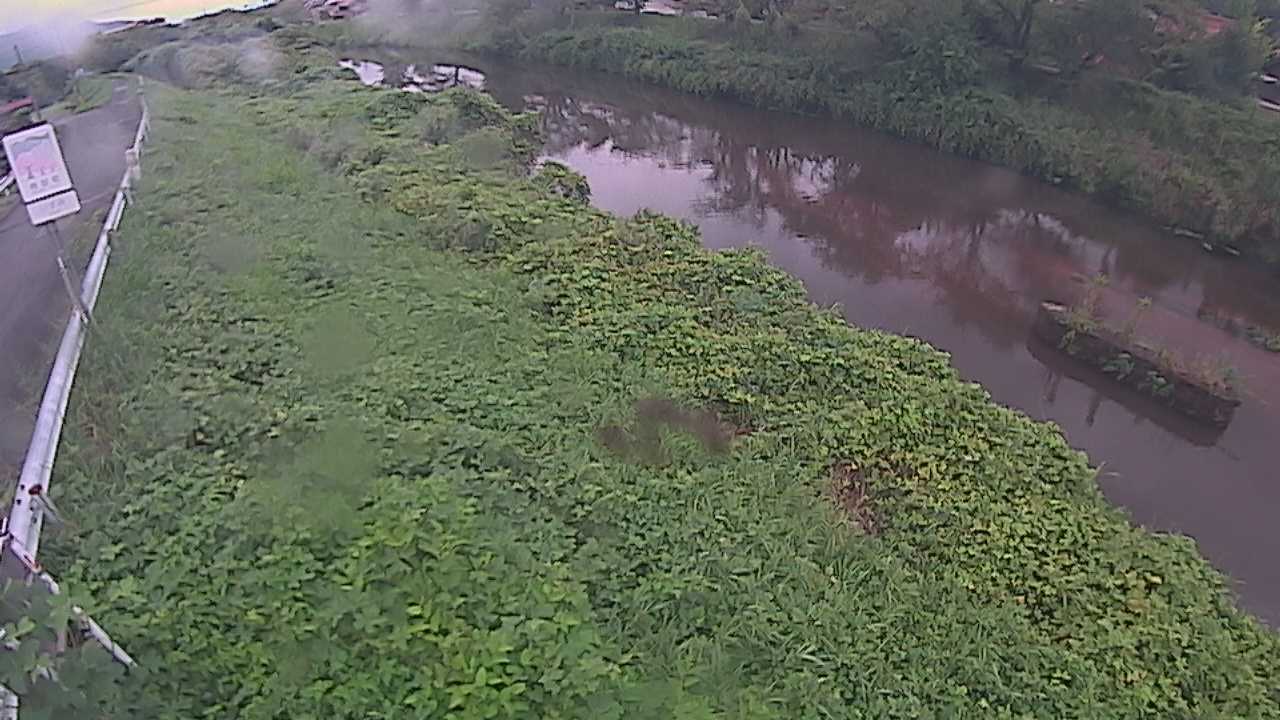 清水　法勝寺川 9k906 左岸