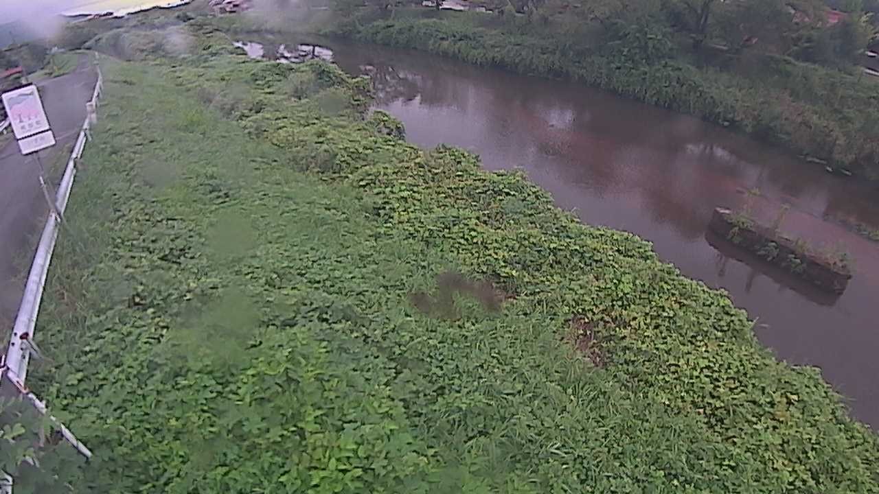 清水　法勝寺川 9k906 左岸