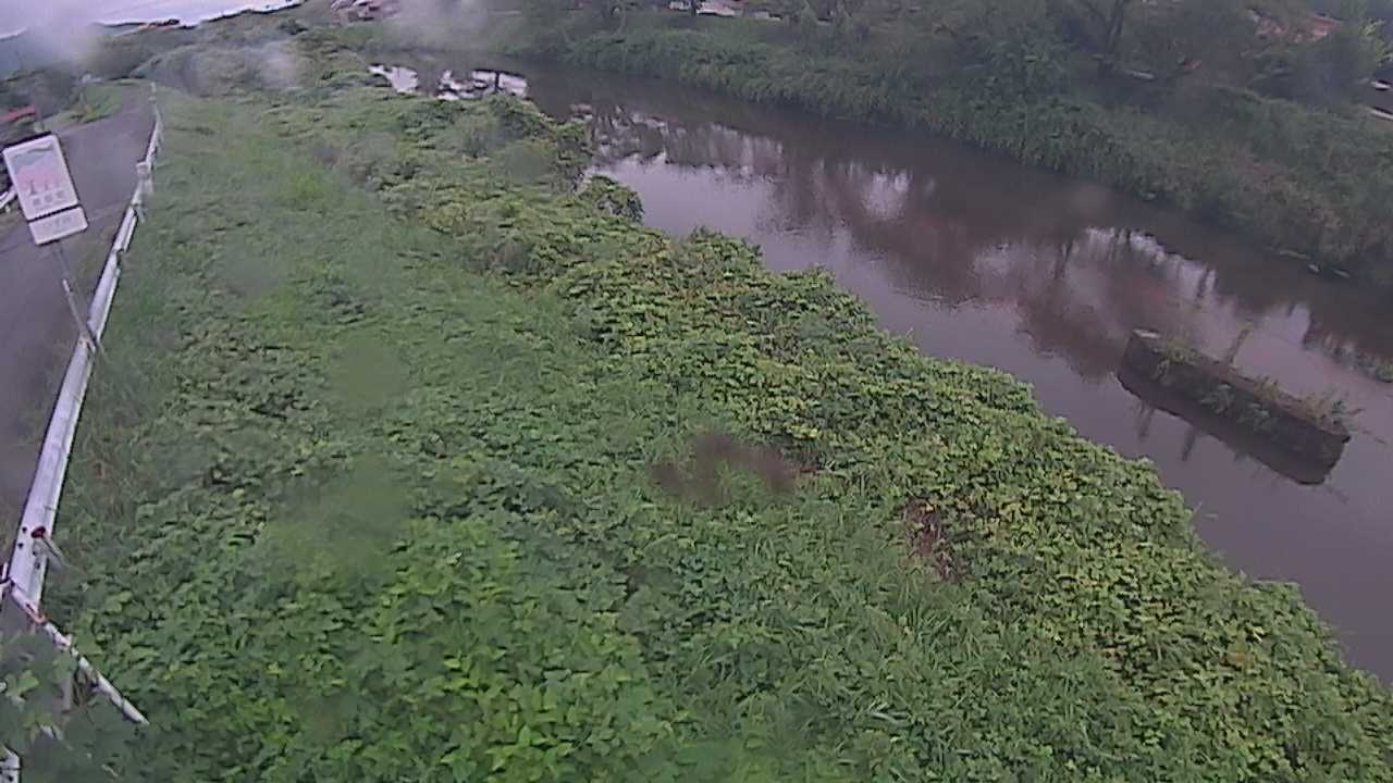 清水　法勝寺川 9k906 左岸