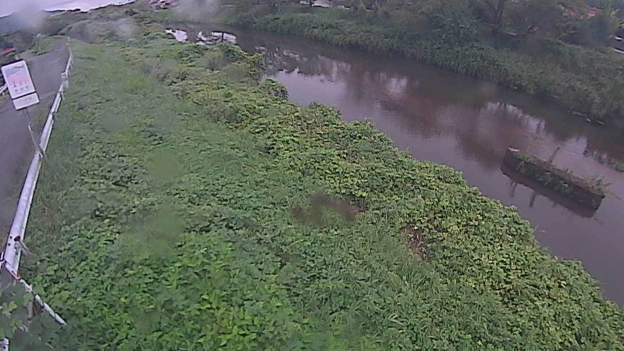 清水　法勝寺川 9k906 左岸