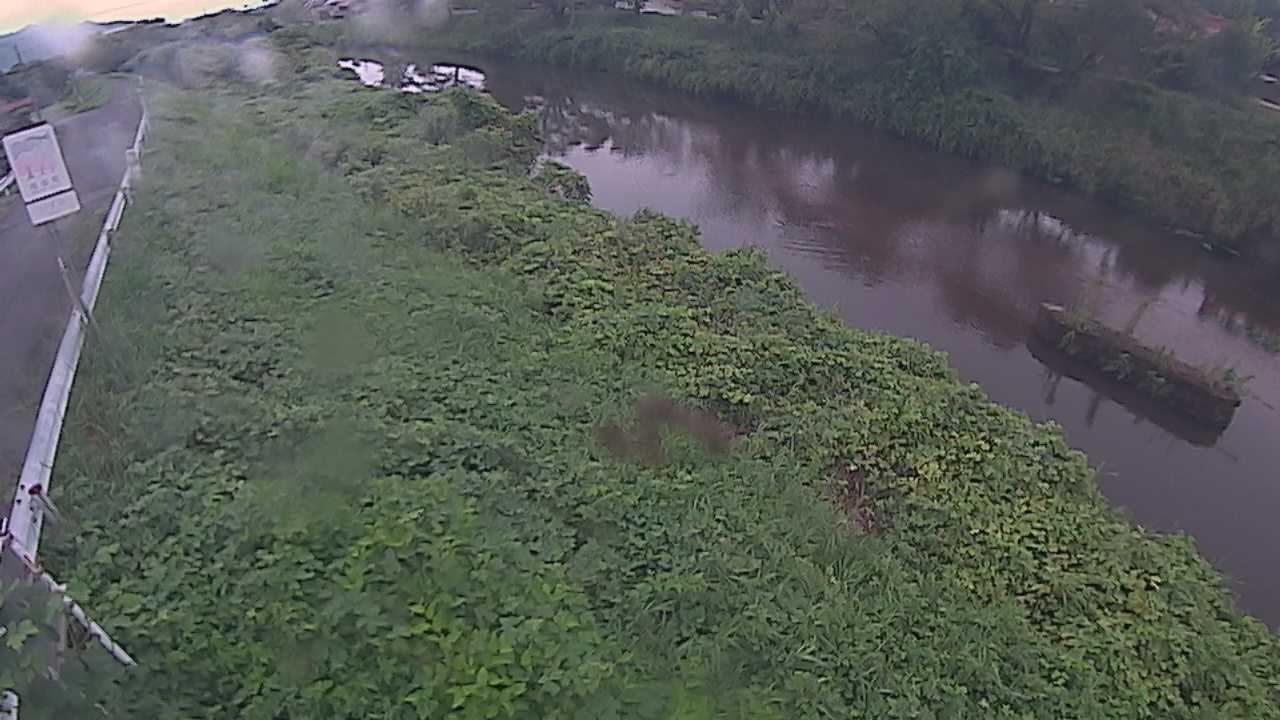 清水　法勝寺川 9k906 左岸