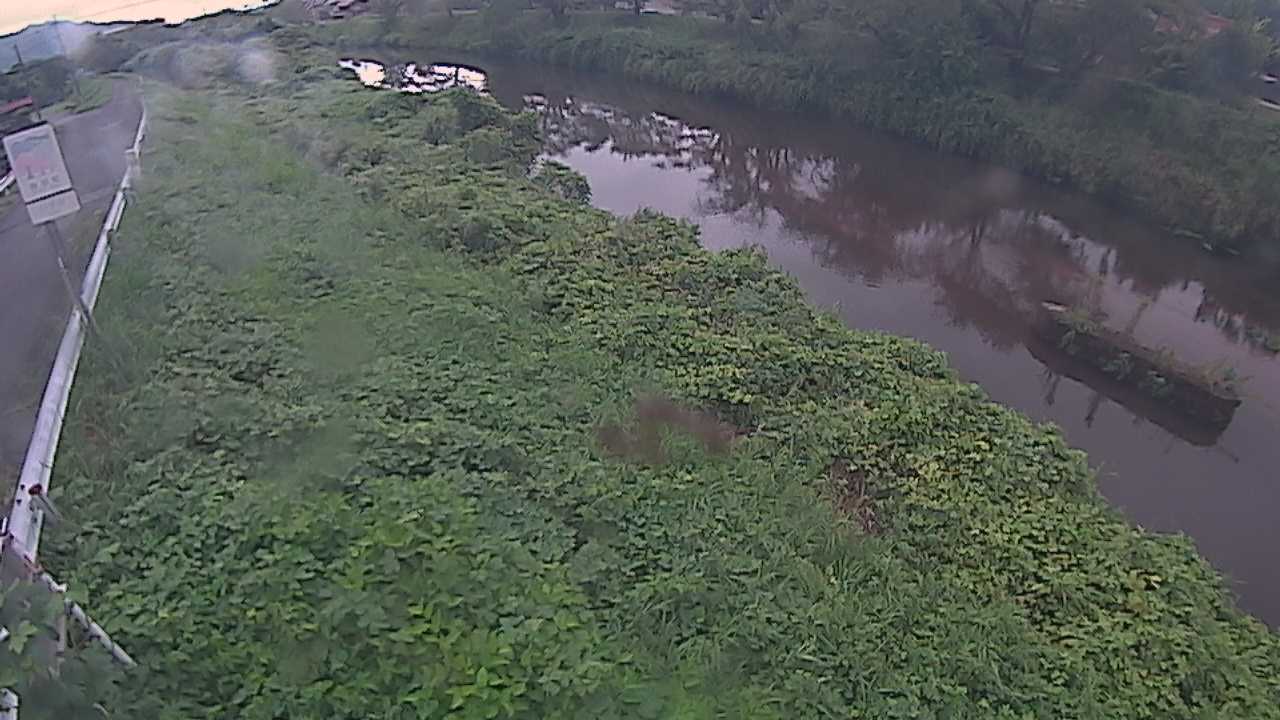 清水　法勝寺川 9k906 左岸