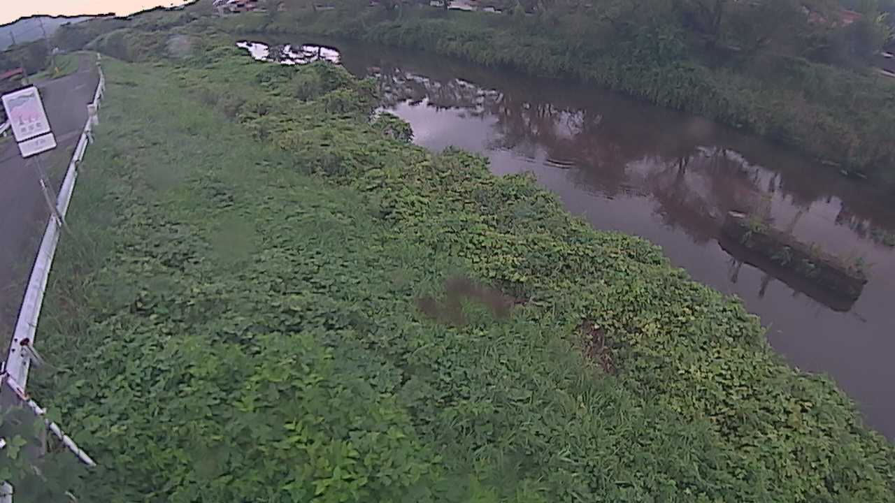 清水　法勝寺川 9k906 左岸