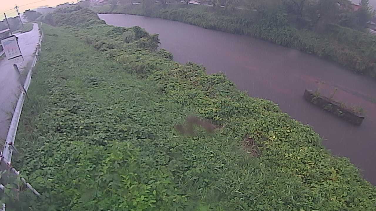 清水　法勝寺川 9k906 左岸