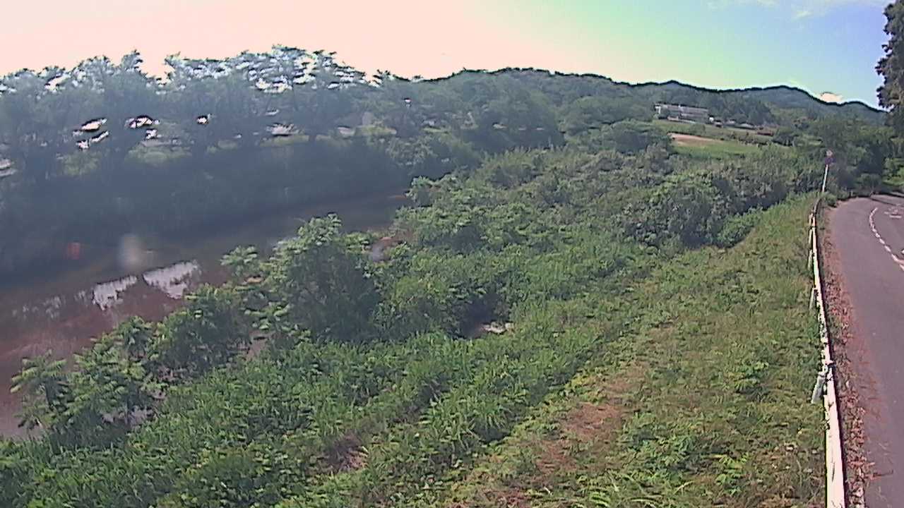 橘　法勝寺川 9k955 左岸