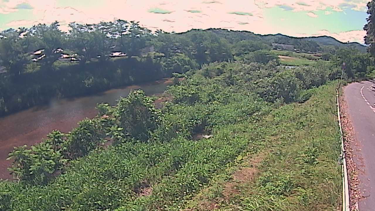 橘　法勝寺川 9k955 左岸
