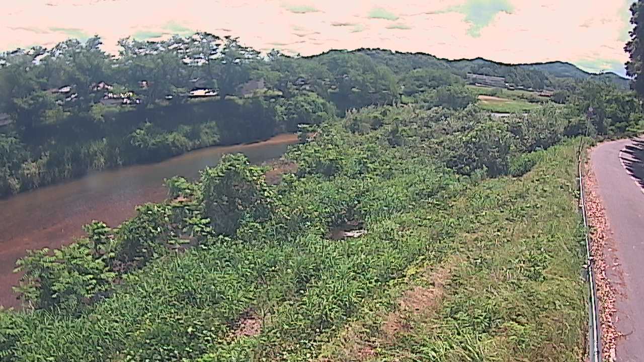 橘　法勝寺川 9k955 左岸