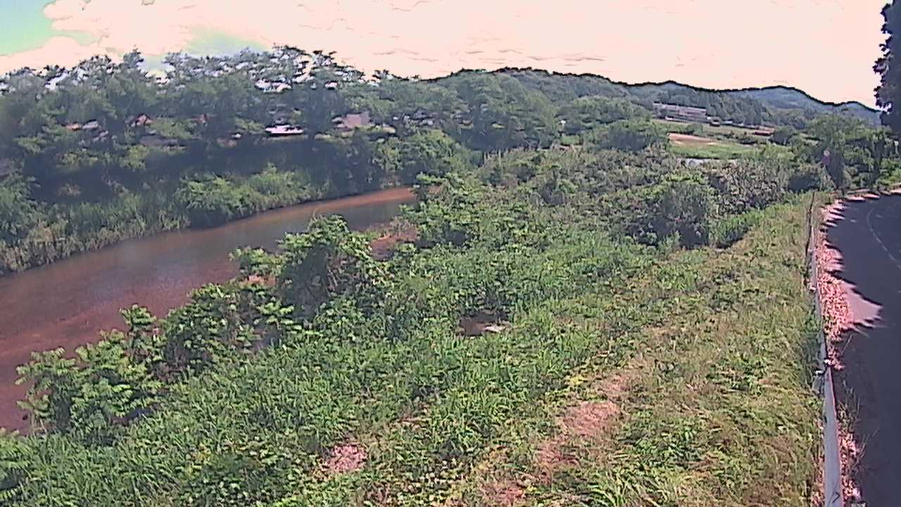 橘　法勝寺川 9k955 左岸