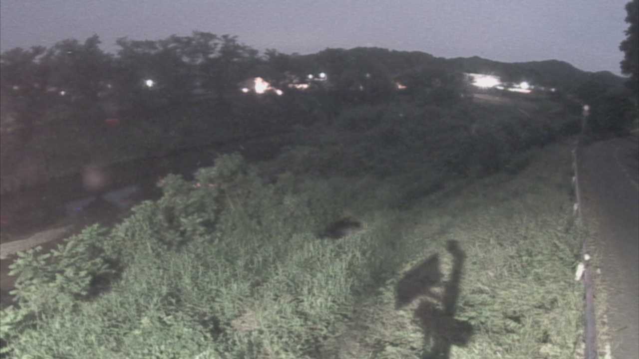 橘　法勝寺川 9k955 左岸