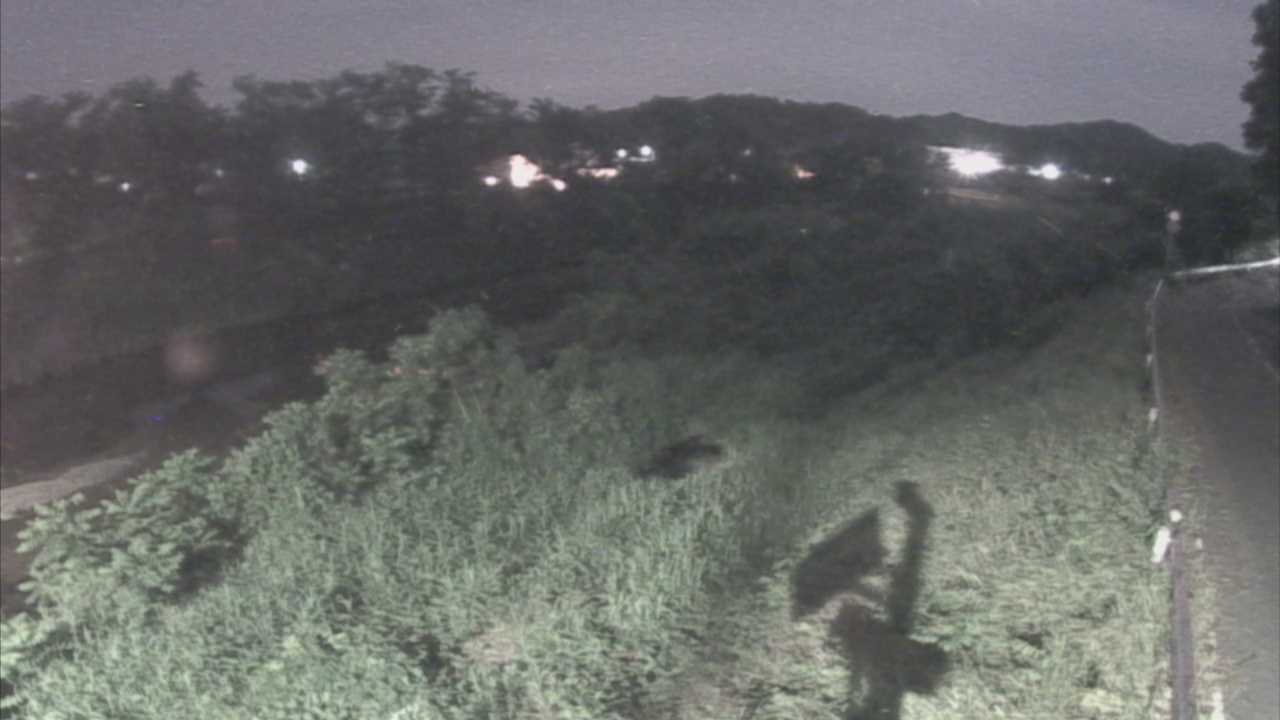 橘　法勝寺川 9k955 左岸