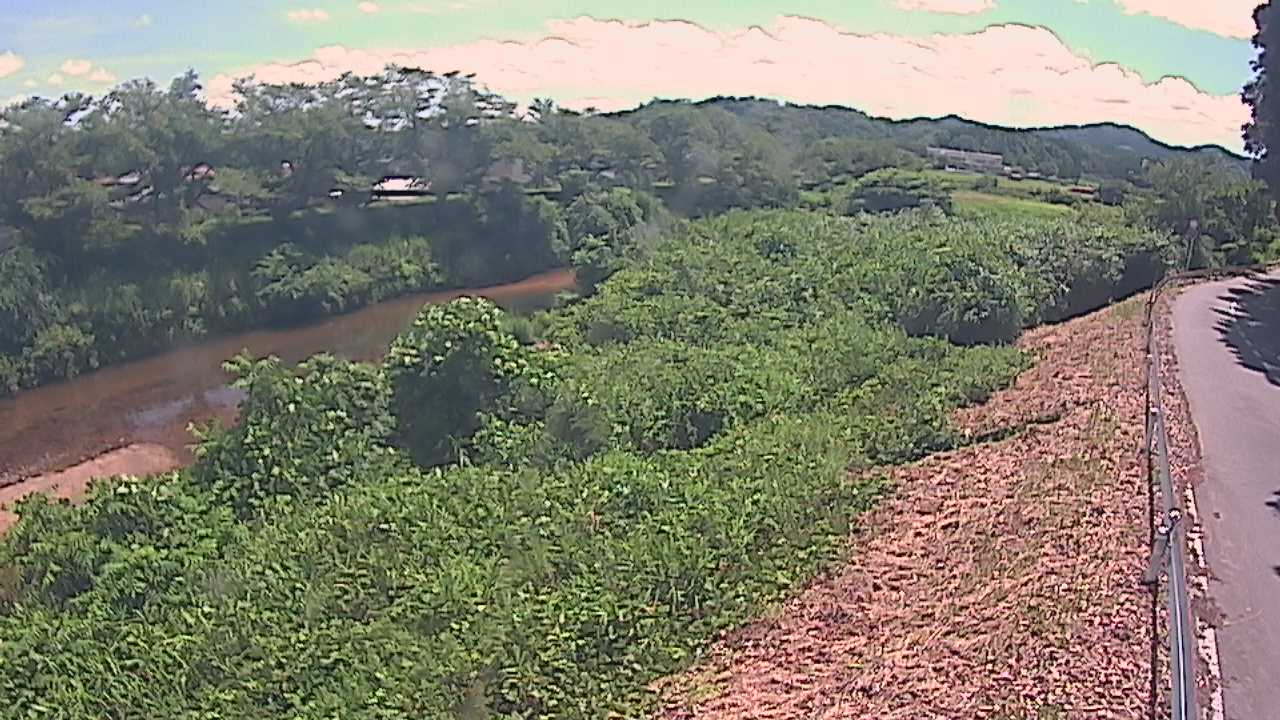 橘　法勝寺川 9k955 左岸