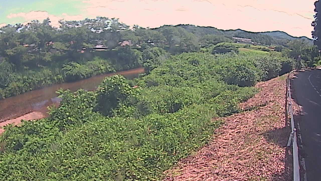橘　法勝寺川 9k955 左岸