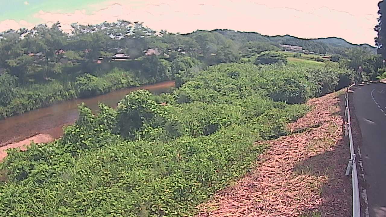 橘　法勝寺川 9k955 左岸