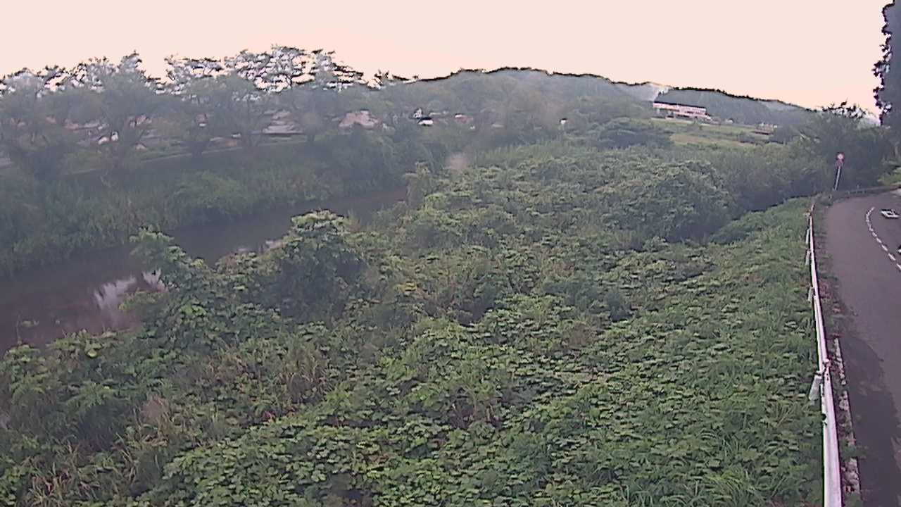 橘　法勝寺川 9k955 左岸