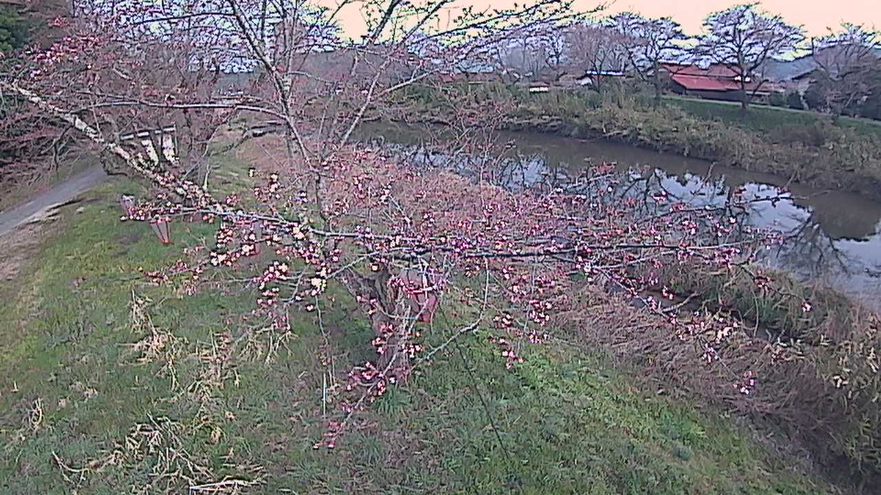 城山　法勝寺川 10k540 左岸