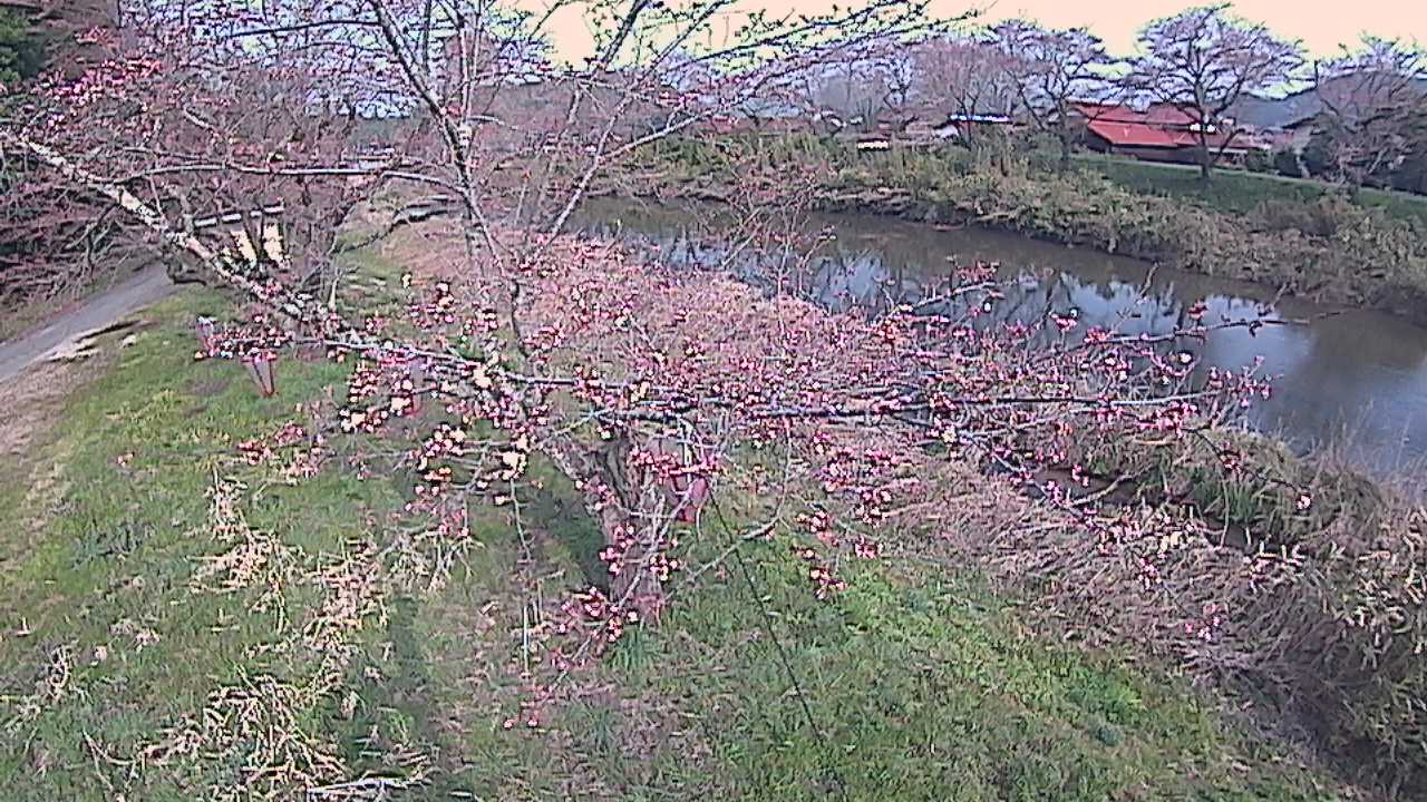 城山　法勝寺川 10k540 左岸