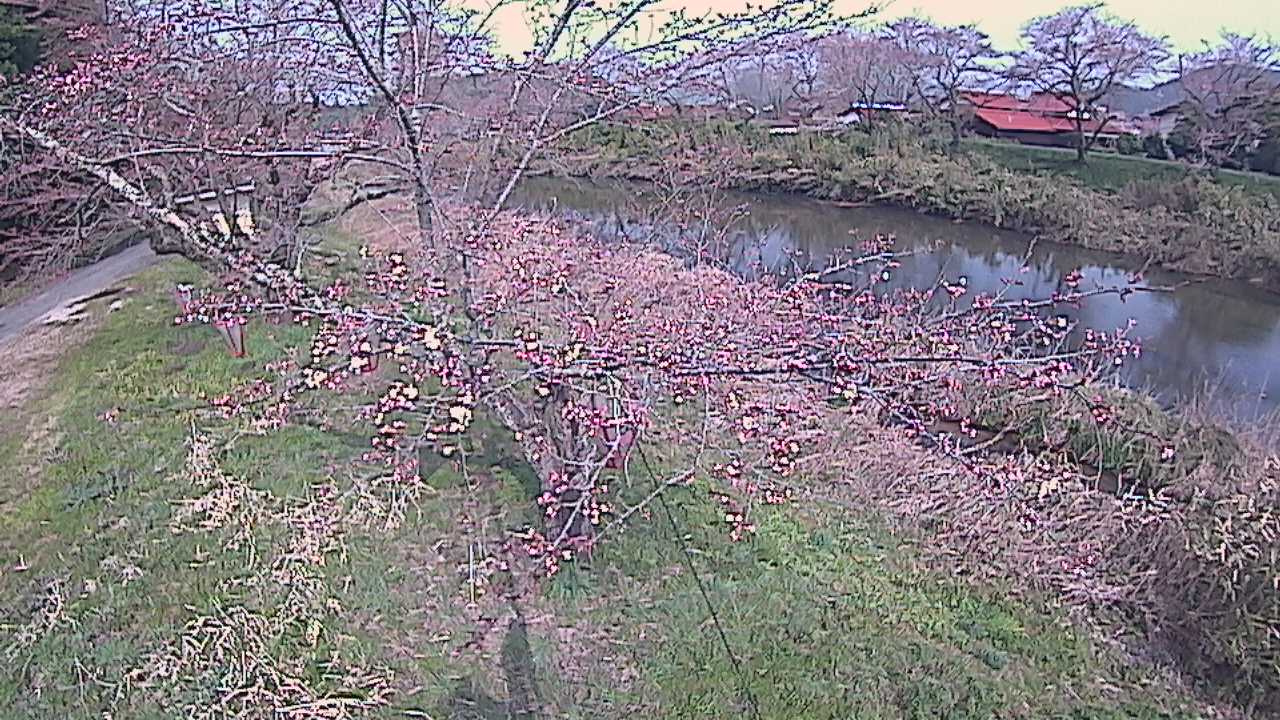 城山　法勝寺川 10k540 左岸