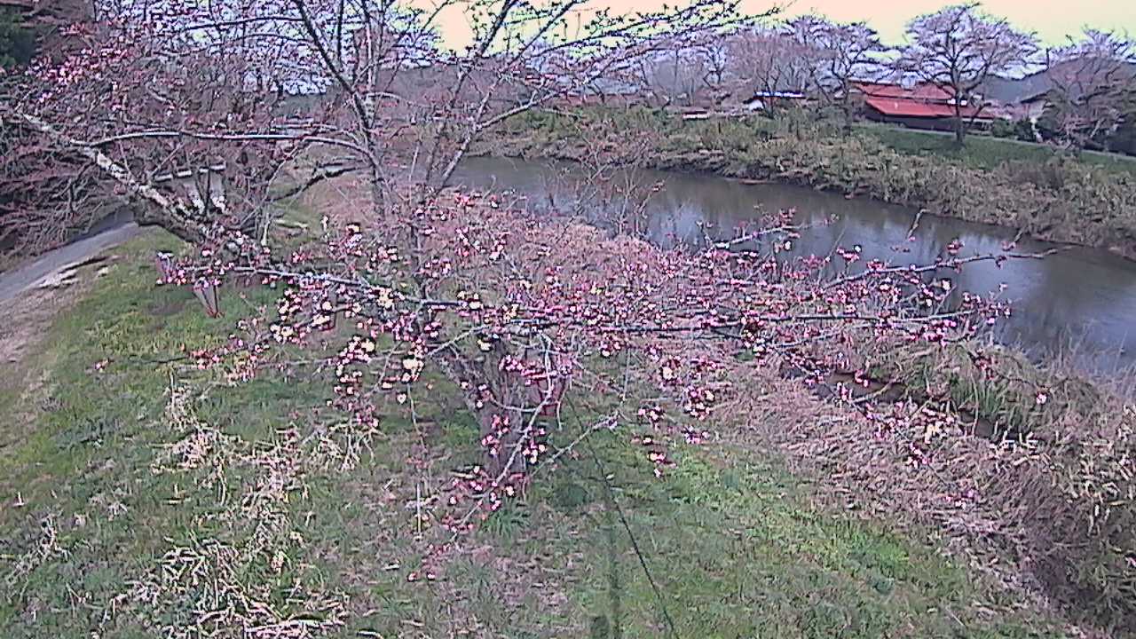 城山　法勝寺川 10k540 左岸